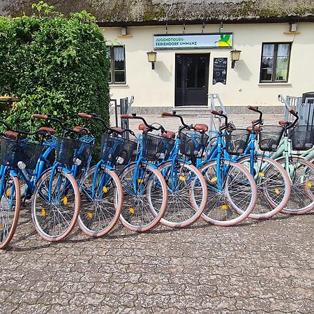 Jugendtours-Feriendorf Ummanz Экстерьер фото