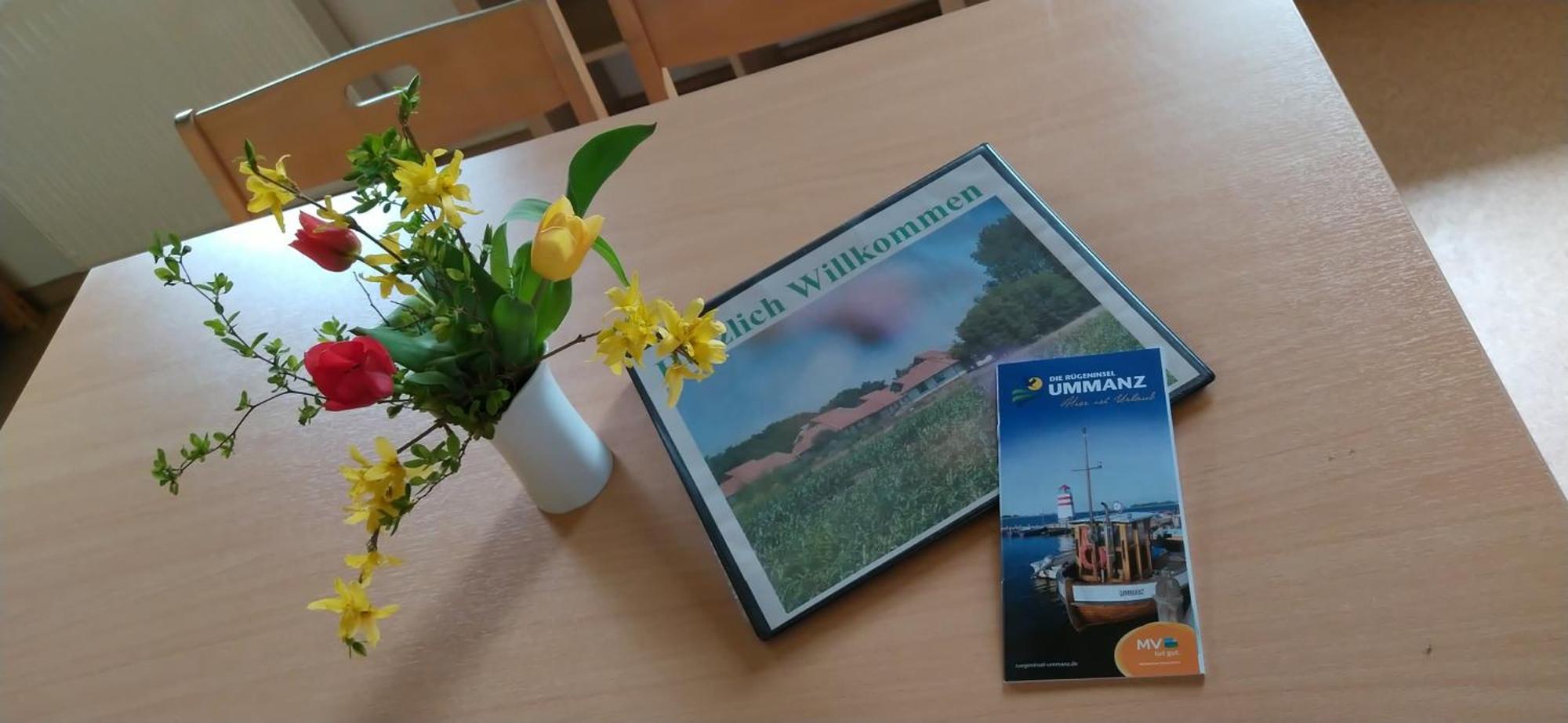 Jugendtours-Feriendorf Ummanz Экстерьер фото